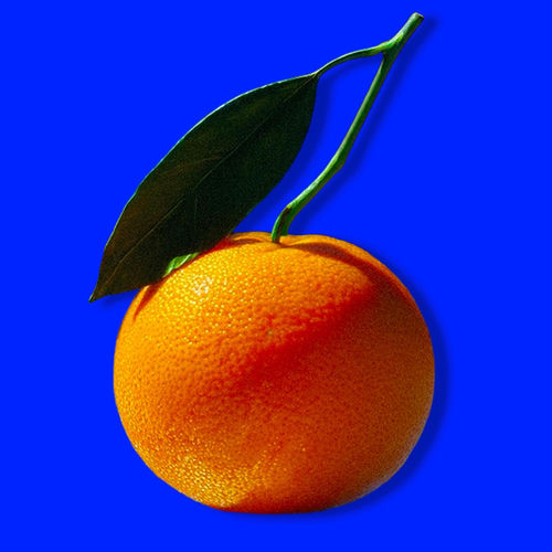 tangerine