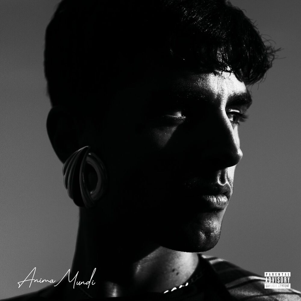 Picture of Anima Mundi