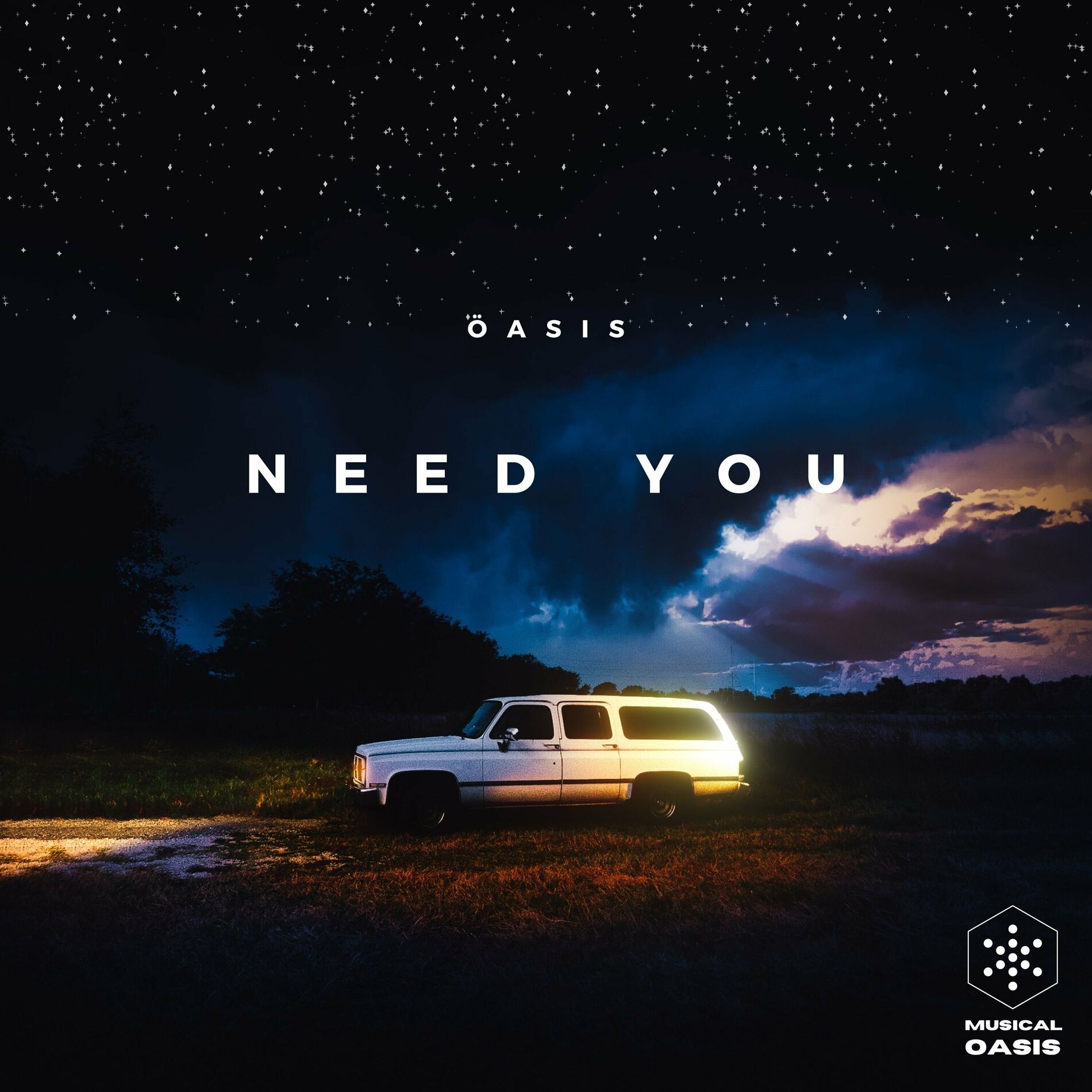 Album cover of Need You