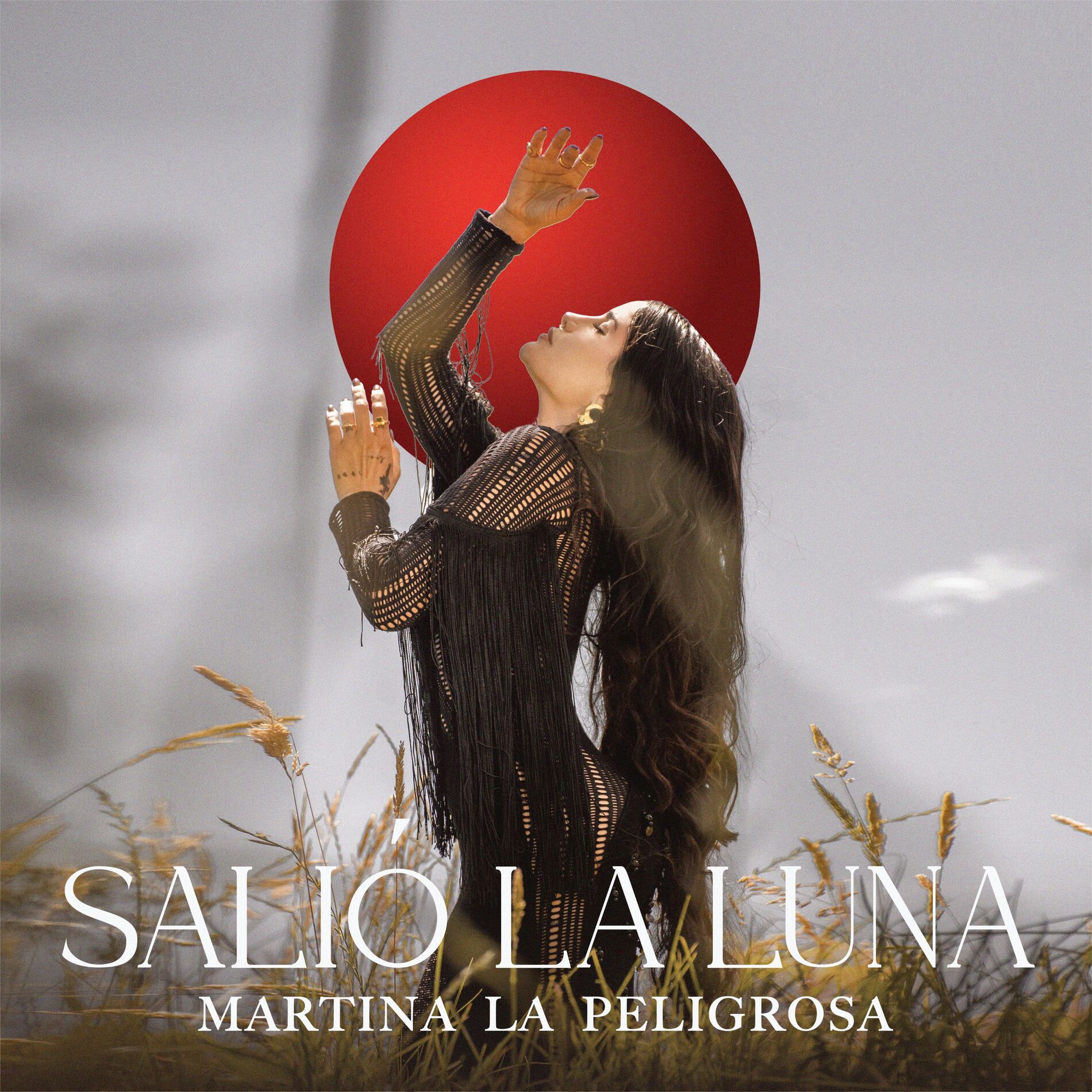 Album cover of Salió La Luna