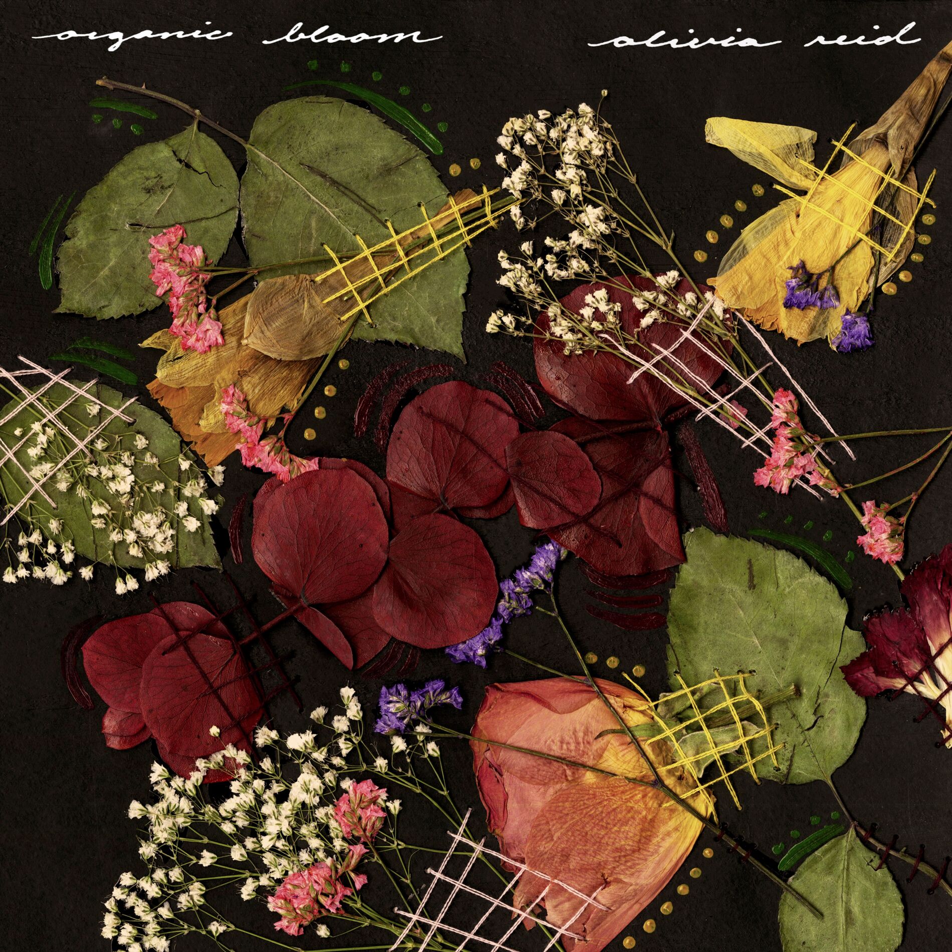 Album cover of Organic Bloom