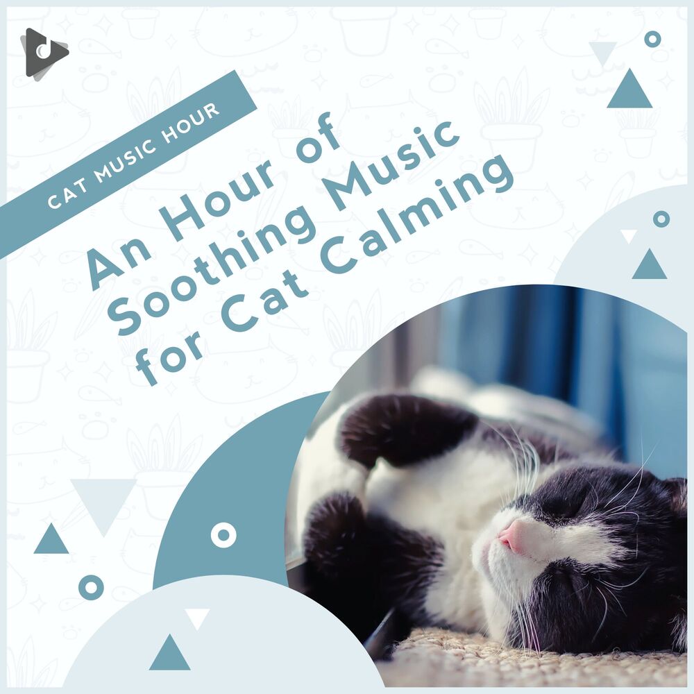 Picture of An Hour of Soothing Music for Cat Calming