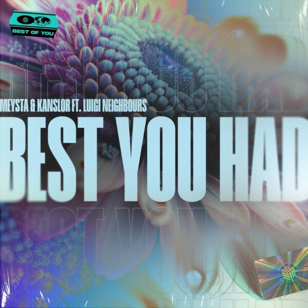 Album cover of Best You Had