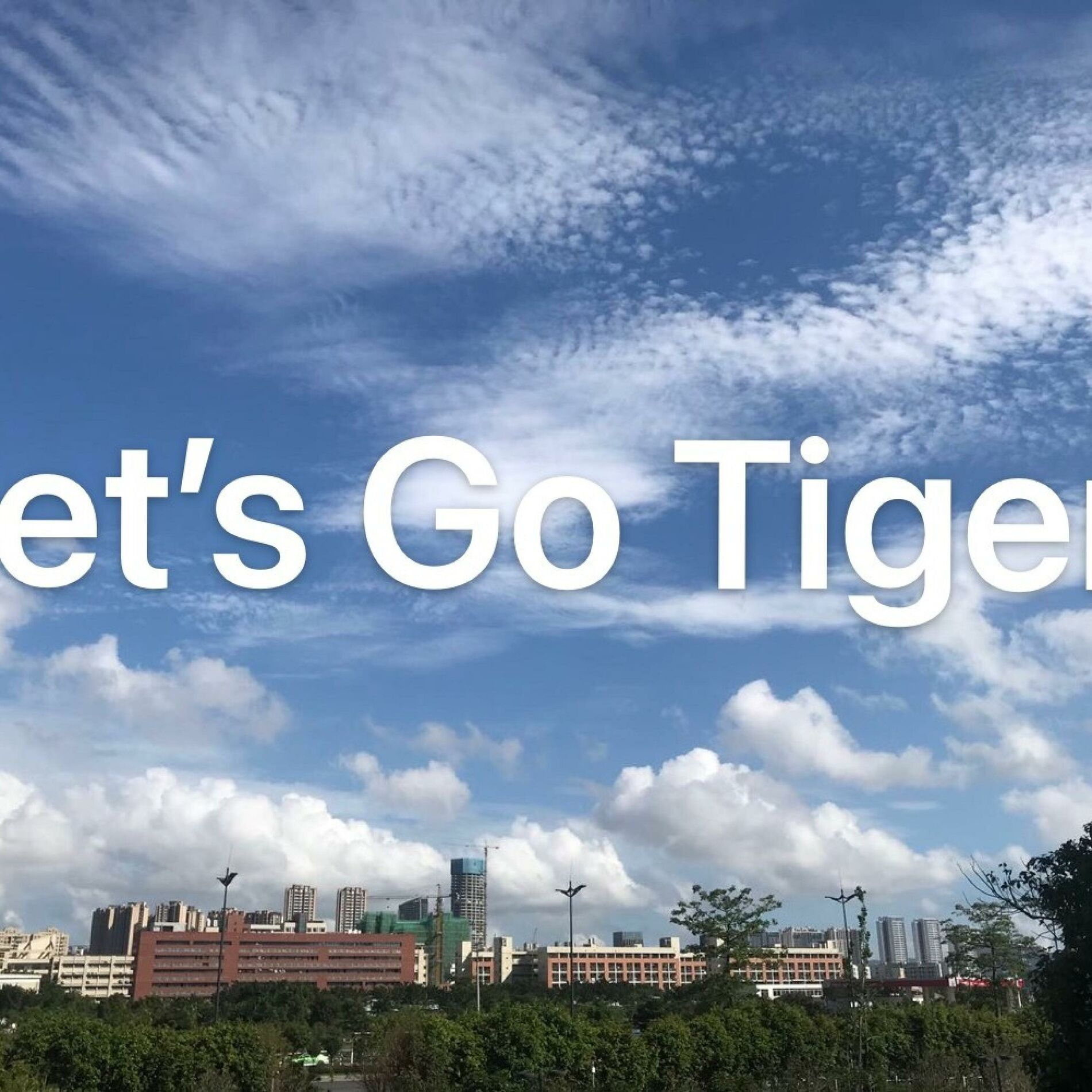 Album cover of Let’s Go Tigers