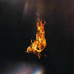 Cover of Leña Nueva