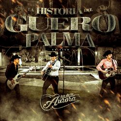 Cover of La Historia Del Guero Palma (En Vivo)