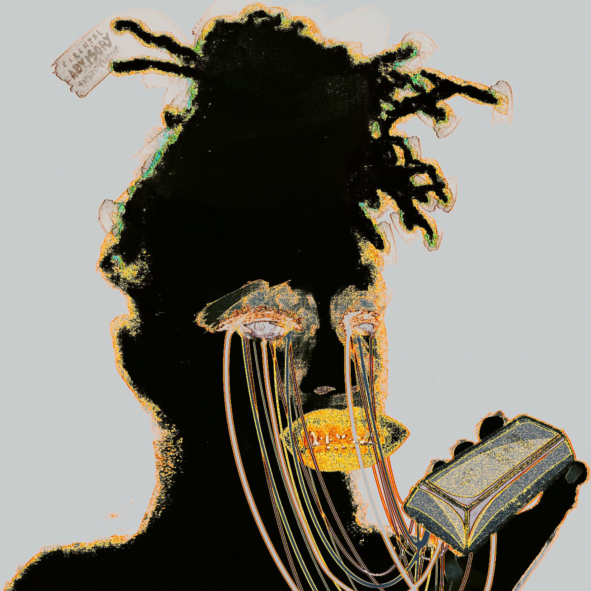 Album cover of PIRATE