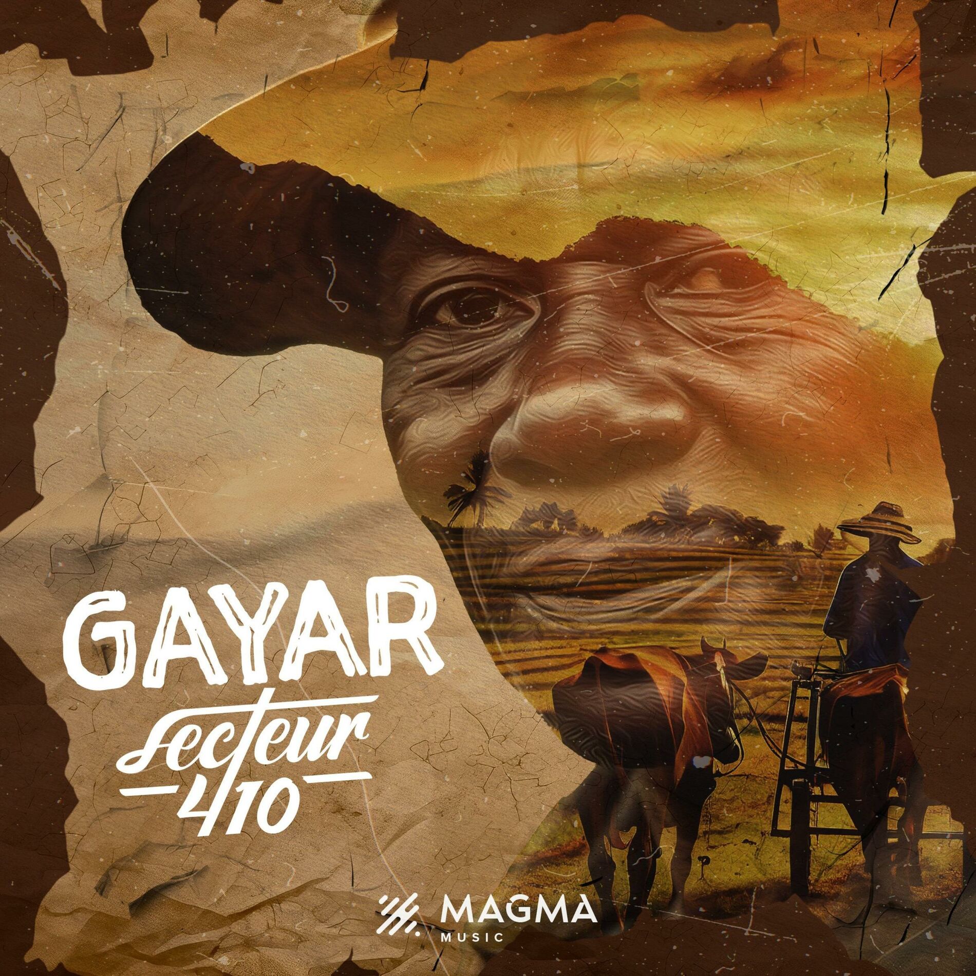 Album cover of Gayar