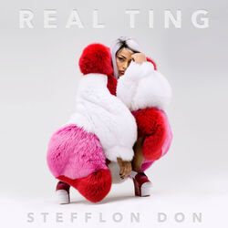 Cover of Real Ting Mixtape