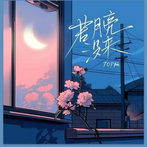 若月亮没来