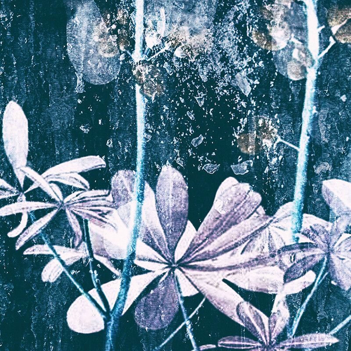 Album cover of Ljóstillífun