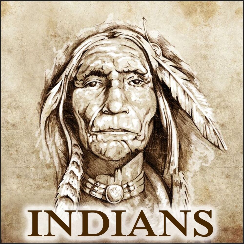 Picture of Indians