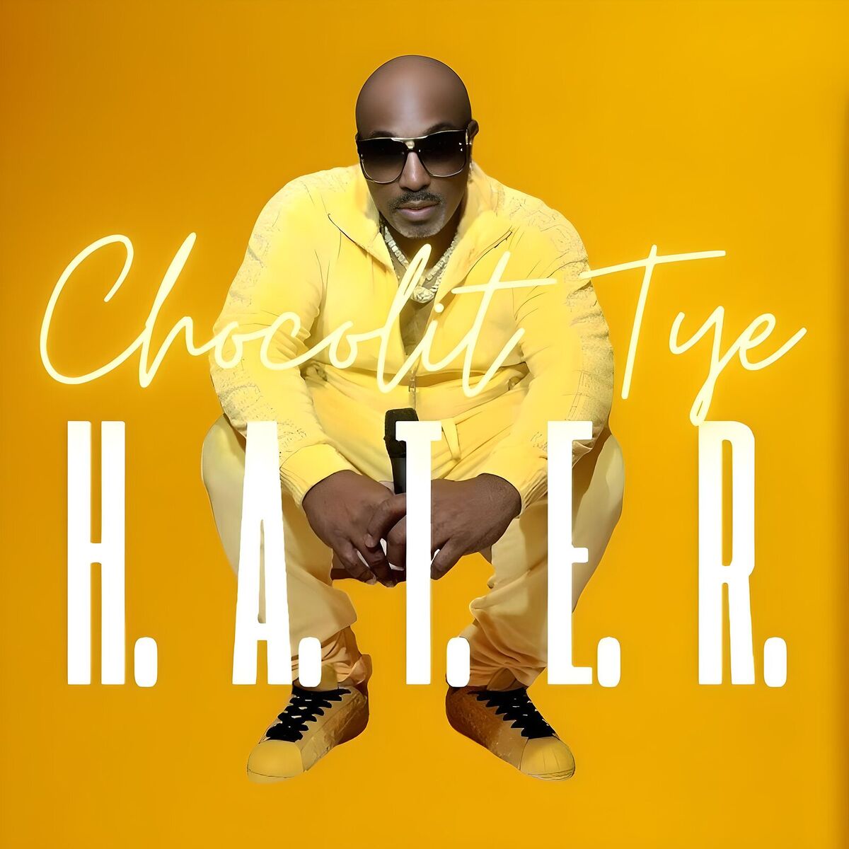 Album cover of H.A.T.E.R.