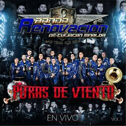 Cover of Puras de Viento, Vol. 1 (En Vivo)