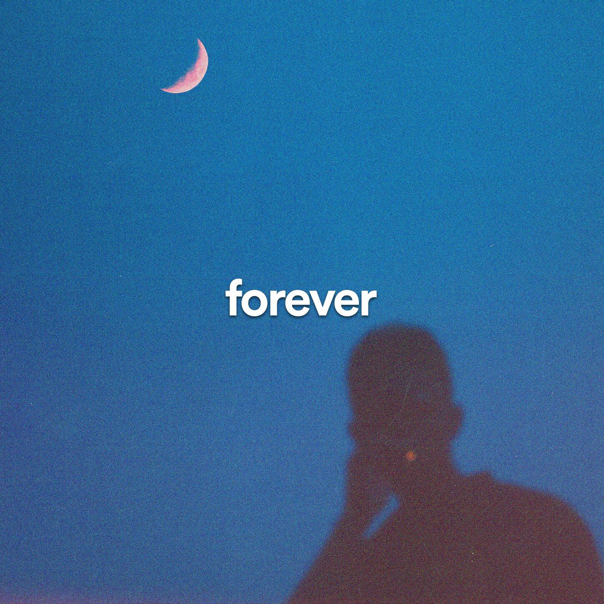 Album cover of forever