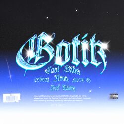 Cover of Gotik