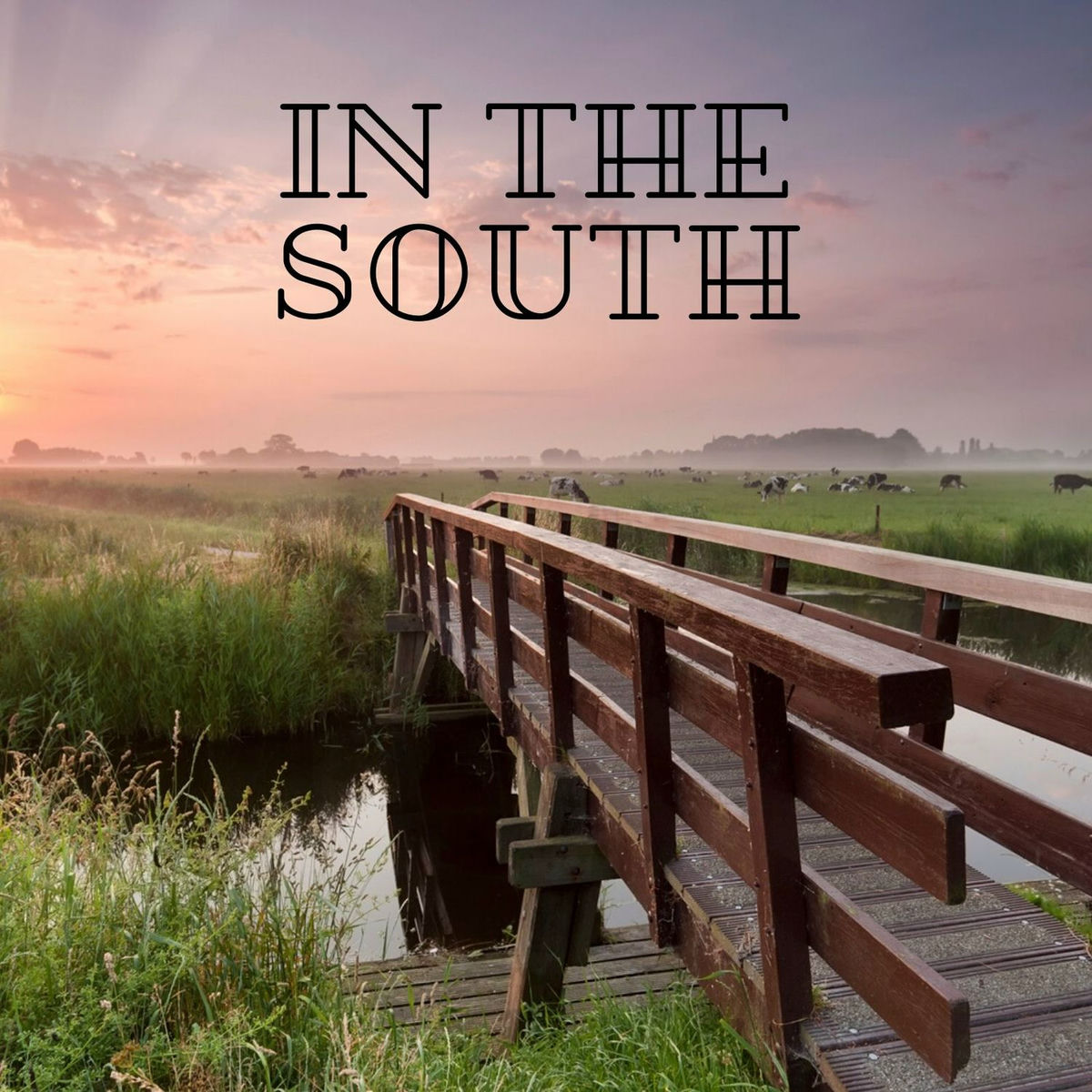 Album cover of In the South