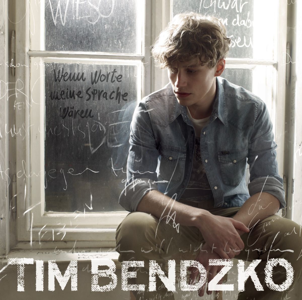 Album cover of Wenn Worte meine Sprache wären