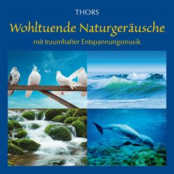 Cover of Wohltuende Naturgeräusche: Unterlegt mit Entspannungsmusik
