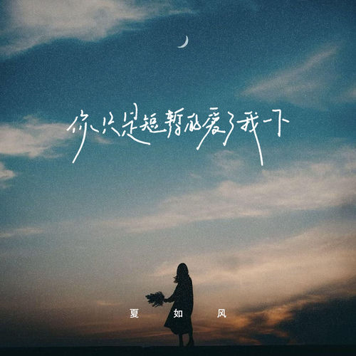 你只是短暂的爱了我一下
