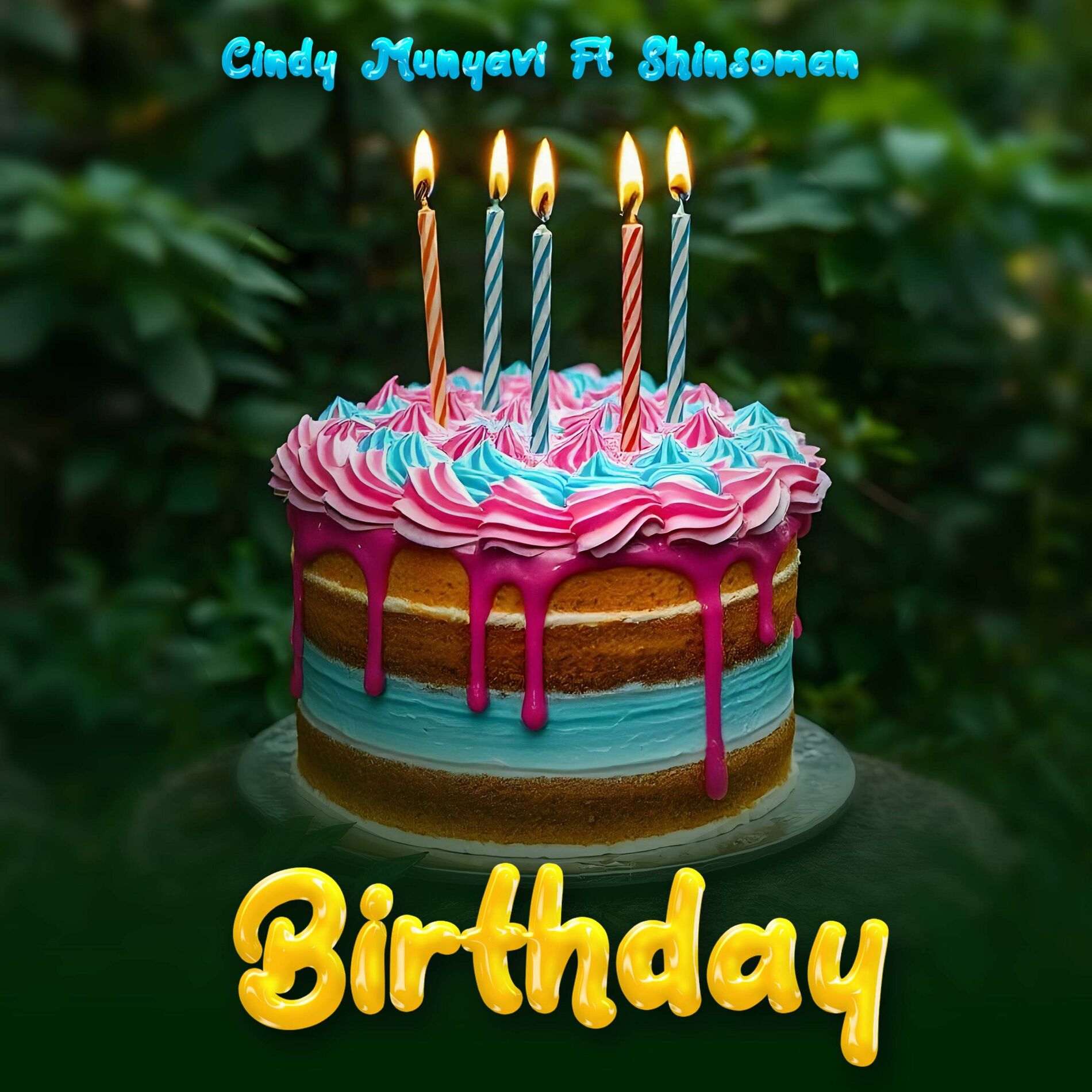 Album cover of Birthday (feat. Shinsoman)