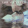 For Granted by Avi Snow album cover