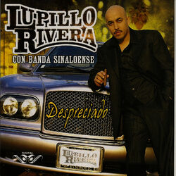 Cover of Despreciado