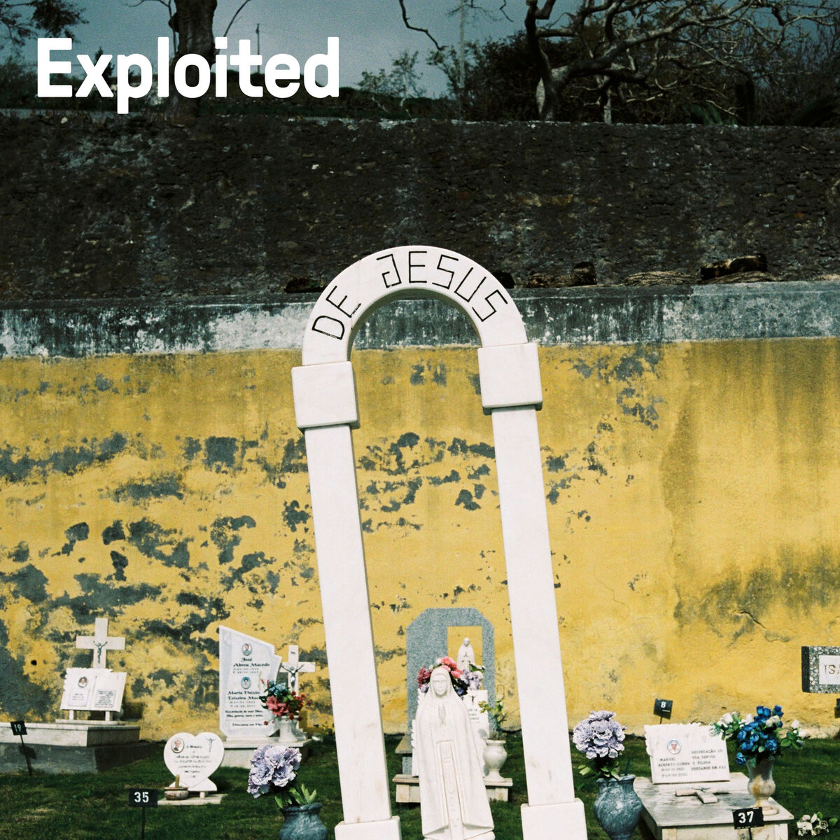 Album cover of Salvation