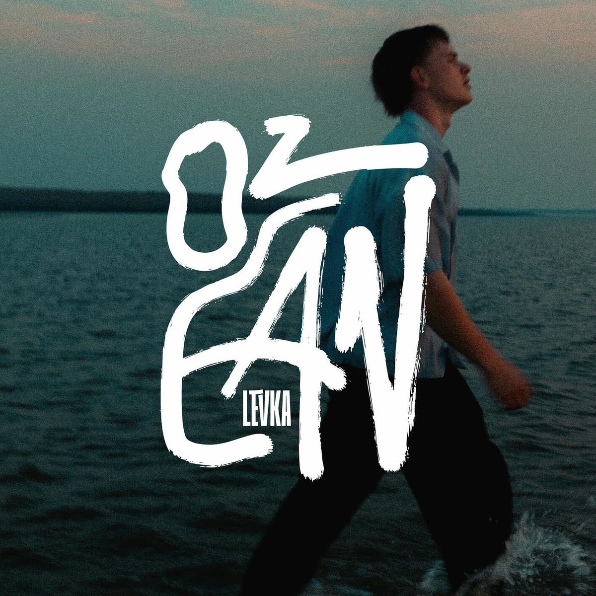 Album cover of ozean