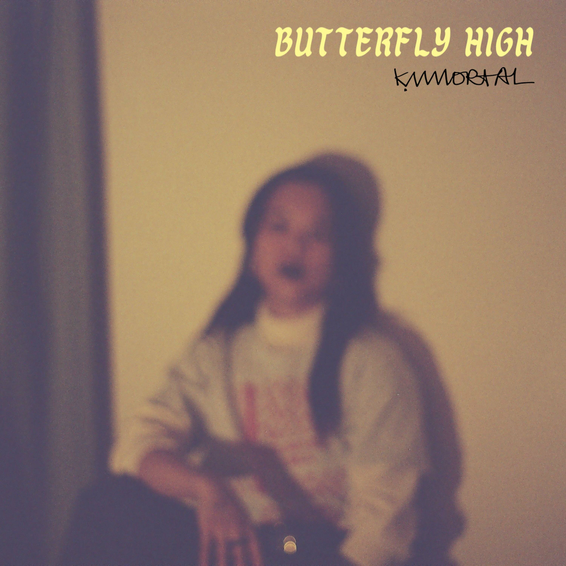 Album cover of Butterfly High