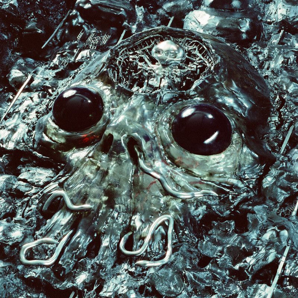 Album cover of Level 5