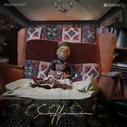 Cover of Singe savant