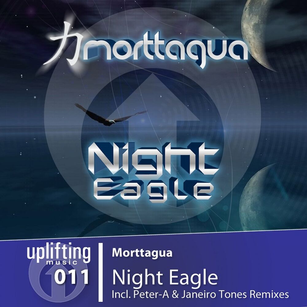 Picture of Night Eagle