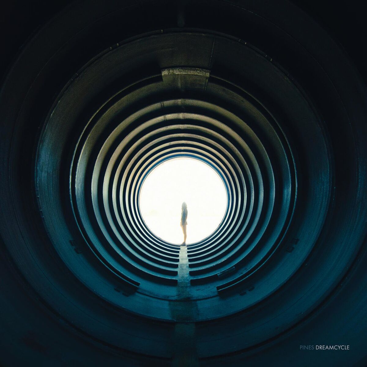 Album cover of Dreamcycle