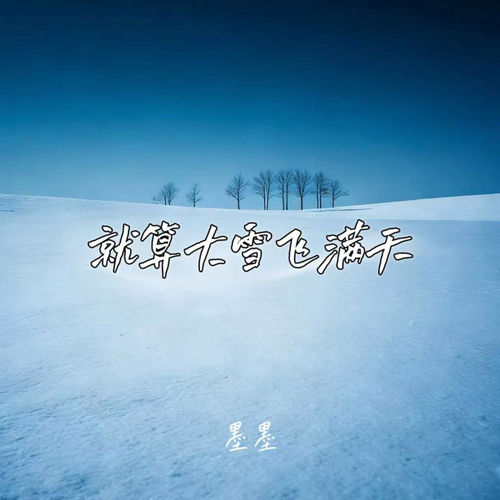 就算大雪飞满天