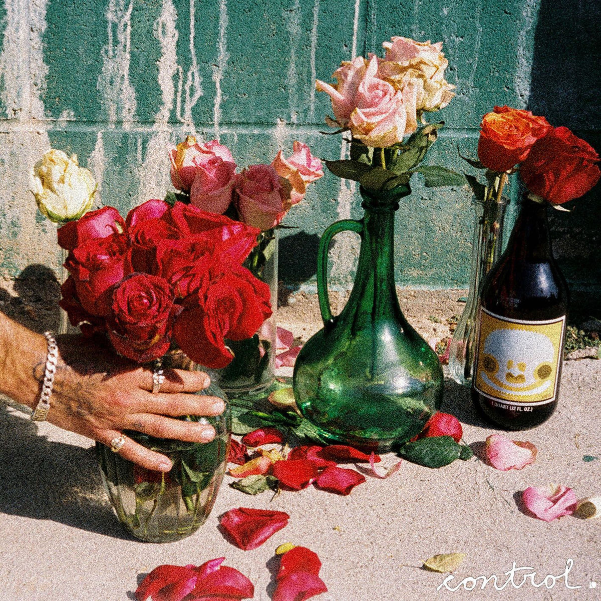 Album cover of control.