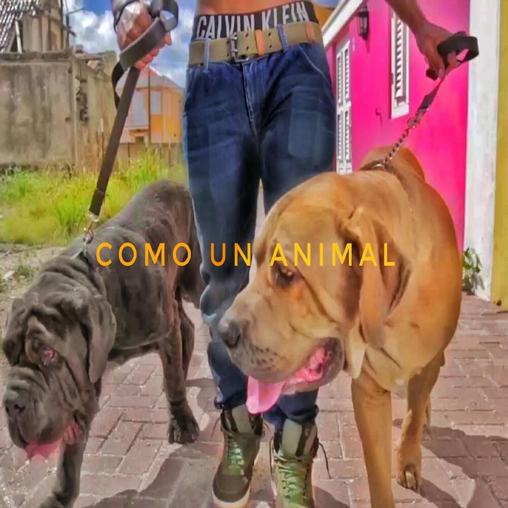Picture of Como un Animal (feat. Woody, Alex Sargo & Steve Andreas)