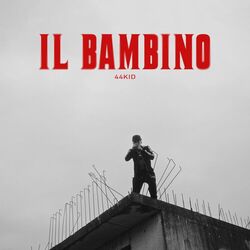 Cover of Il Bambino