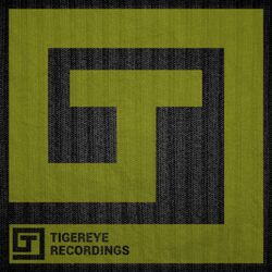 Cover of The Tribal Fury EP