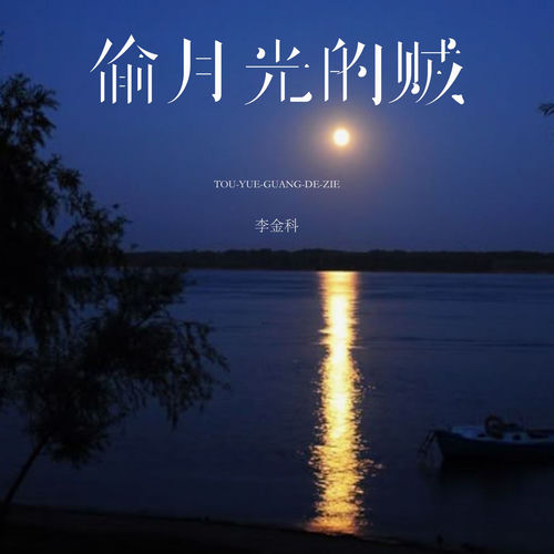偷月光的贼 (DJ沈乐版)