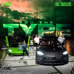 Cover of YOU THE TYPE (Clean)