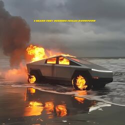 Cover of I Heard They Burning Teslas Downtown