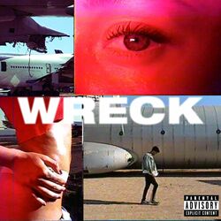 Cover of Wreck