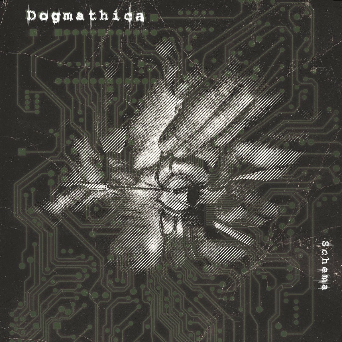 Album cover of Schema
