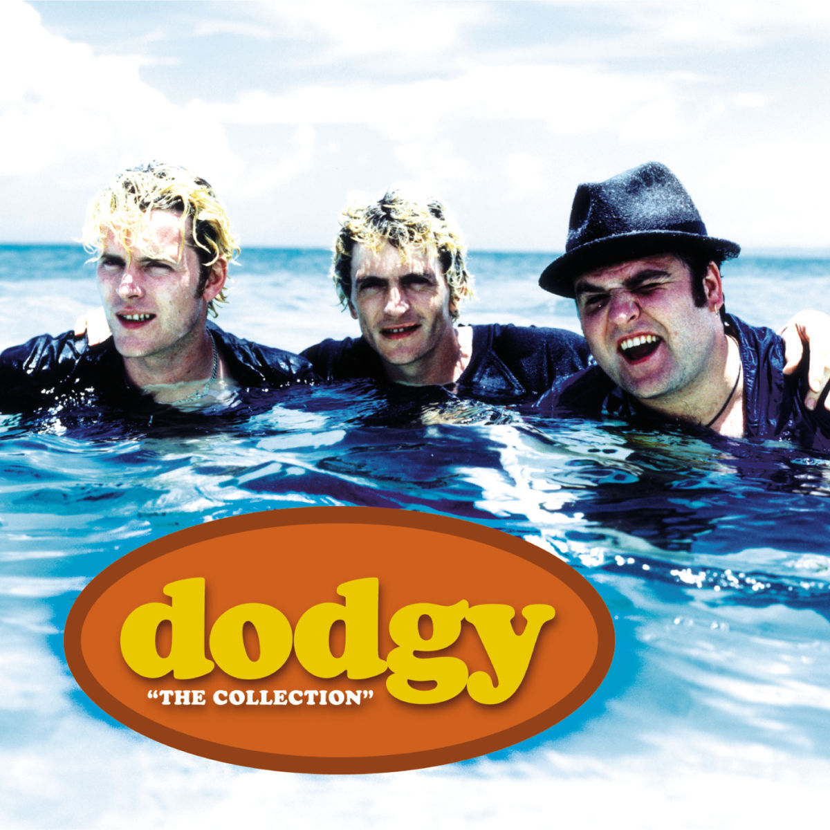 Album cover of The Collection