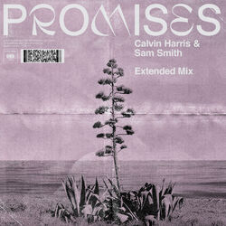 Cover of Promises (Extended Mix)