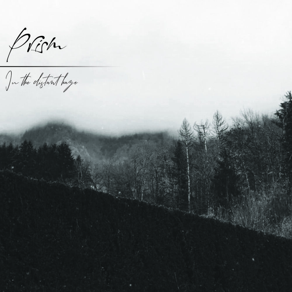 Picture of In The Distant Haze