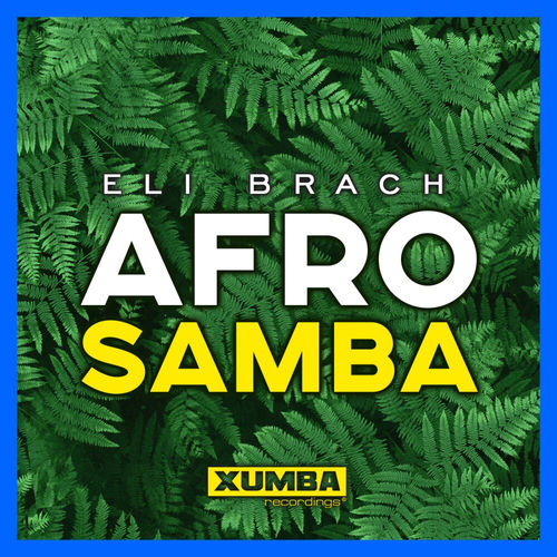 Afro Samba - Pure Samba Mix by Eli Brach - 123 BPM