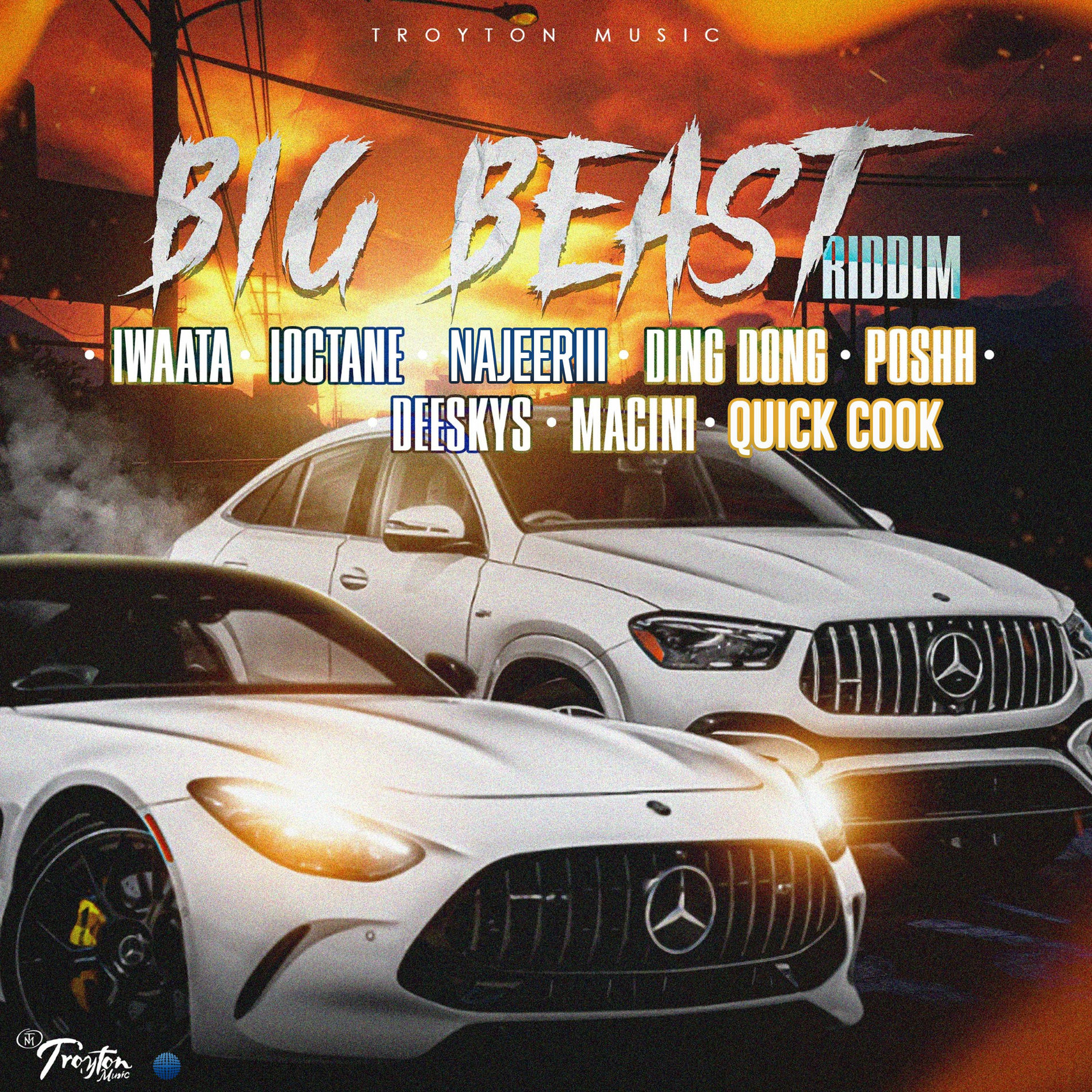 Album cover of Big Beast Riddim