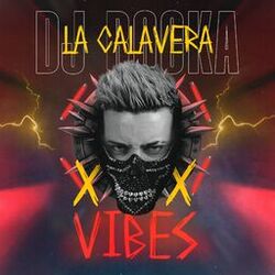 Cover of Vibes